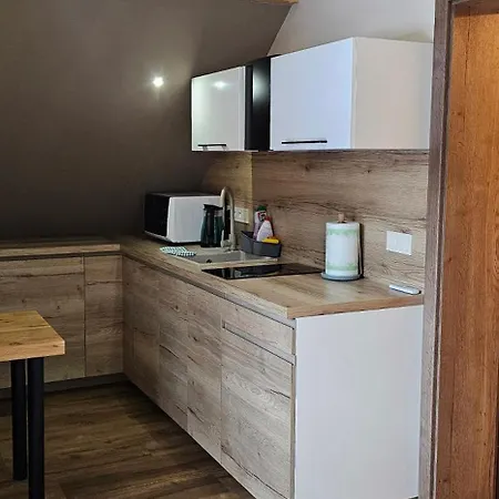 Spacir Apartment Harrachov